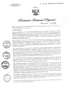 Vista preliminar de documento RDR0933-2020GOB-REG-HVCADIRESA
