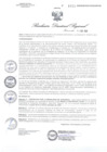 Vista preliminar de documento RDR1011-2020GOB-REG-HVCADIRESA