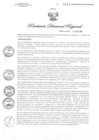 Vista preliminar de documento RDR1041-2020GOB-REG-HVCADIRESA