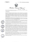 Vista preliminar de documento RDR1063-2020GOB-REG-HVCADIRESA