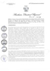 Vista preliminar de documento RDR1089-2020GOB-REG-HVCADIRESA