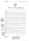 Vista preliminar de documento RDR1094-2020GOB-REG-HVCADIRESA