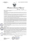 Vista preliminar de documento RDR1096-2020GOB-REG-HVCADIRESA