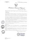 Vista preliminar de documento RDR1102-2020GOB-REG-HVCADIRESA