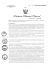 Vista preliminar de documento RDR1157-2020GOB-REG-HVCADIRESA