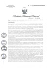 Vista preliminar de documento RDR1159-2020GOB-REG-HVCADIRESA