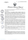 Vista preliminar de documento RDR1177-2020GOB-REG-HVCADIRESA