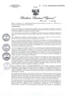 Vista preliminar de documento RDR1195-2020GOB-REG-HVCADIRESA