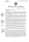 Vista preliminar de documento RDR1199-2020GOB-REG-HVCADIRESA
