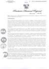 Vista preliminar de documento RDR1218-2020GOB-REG-HVCADIRESA