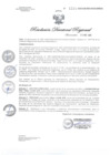 Vista preliminar de documento RDR1231-2020GOB-REG-HVCADIRESA