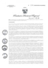 Vista preliminar de documento RDR1255-2020GOB-REG-HVCADIRESA