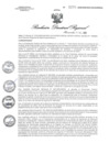 Vista preliminar de documento RDR1270-2020GOB-REG-HVCADIRESA