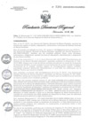 Vista preliminar de documento RDR1391-2020GOB-REG-HVCADIRESA