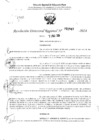 Vista preliminar de documento RDR 2949-2024