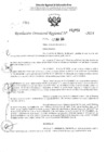 Vista preliminar de documento RDR 2950-2024