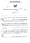 Vista preliminar de documento RDR 2952-2024