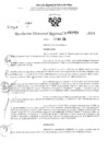 Vista preliminar de documento RDR 2953-2024