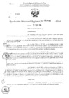 Vista preliminar de documento RDR 2954-2024