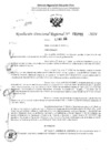 Vista preliminar de documento RDR 2955-2024