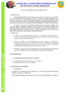 Vista preliminar de documento BASES CONCURSO DE PINTURA RFP 2024-1