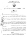 Vista preliminar de documento RDR 2957-2024