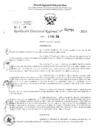 Vista preliminar de documento RDR 2959-2024