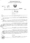 Vista preliminar de documento RDR 2960-2024