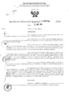 Vista preliminar de documento RDR 2961-2024