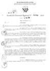 Vista preliminar de documento RDR 2963-2024