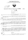 Vista preliminar de documento RDR 2964-2024
