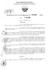 Vista preliminar de documento RDR 2968-2024