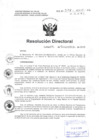 Vista preliminar de documento R.D N° 358-2015 pdf