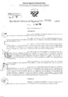 Vista preliminar de documento RDR 2969-2024
