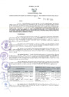 Vista preliminar de documento RES-225-2024-DGC