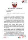 Vista preliminar de documento RD N°704-2024