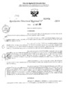 Vista preliminar de documento RDR 2974-2024