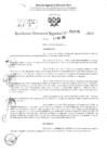 Vista preliminar de documento RDR 2975-2024