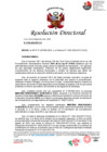 Vista preliminar de documento RD N°706-2024