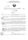 Vista preliminar de documento RDR 2978-2024
