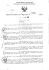 Vista preliminar de documento RDR 2981-2024