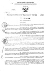 Vista preliminar de documento RDR 2982-2024