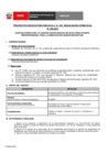 Vista preliminar de documento PERFIL de la CONVOCATORIA 028-2024