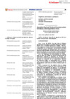 Vista preliminar de documento 2024-RD17