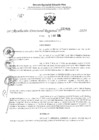 Vista preliminar de documento RDR 2985-2024
