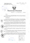 Vista preliminar de documento R.D N° 307-2015 pdf 
