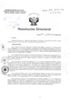 Vista preliminar de documento R.D N° 302-2015-1 pdf