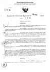Vista preliminar de documento RDR 2610-2024