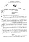 Vista preliminar de documento RDR 2611-2024