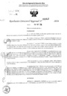 Vista preliminar de documento RDR 2612-2024